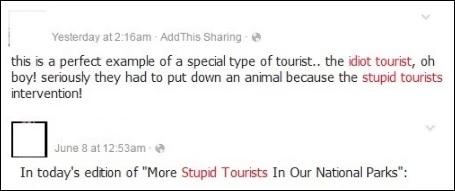 stupid tourists