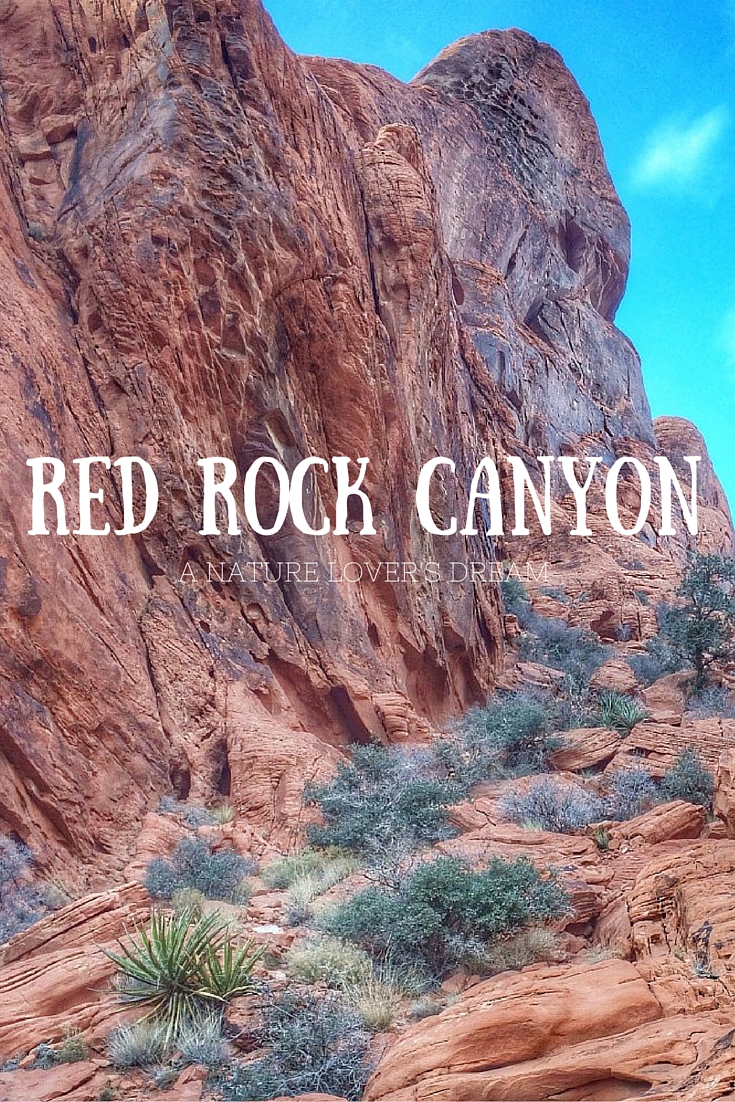 Red Rock Canyon: A Nature Lover's Dream—Just Outside Las Vegas