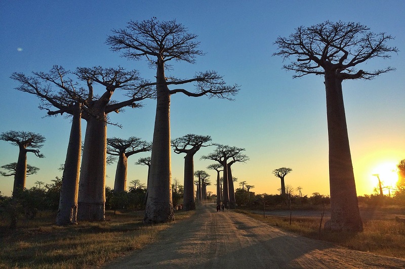 Madagascar Guide for Budget Travelers